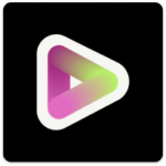 Vidyo AI logo